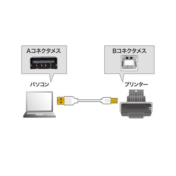 5個セット) サンワサプライ 極細USBケーブル （USB2.0 A-Bタイプ） 2m