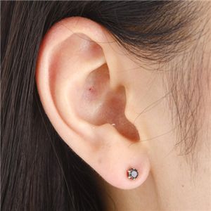 PT900 計0.4ctブラックダイヤモンドピアス（プラチナ）161923【メーカー直送】代引き・銀行振込前払い不可・同梱不可の通販は