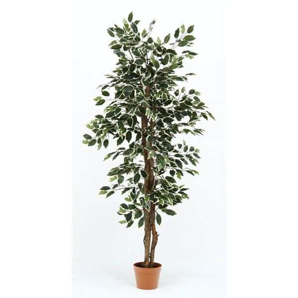 観葉植物 造花 フィカス B 6号鉢対応 幅80cm リビング ダイニング インテリア雑貨 備品 什器 |b04