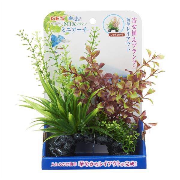 （まとめ）癒し水景 MIXプランツ ミニアーチ レッドロタラ(×3セット) |b04の通販は 5,038円