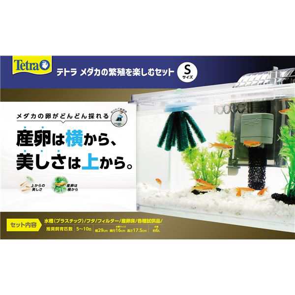 メダカの繁殖を楽しむセット S （観賞魚用品／水槽用品） |b04 - 飼育 