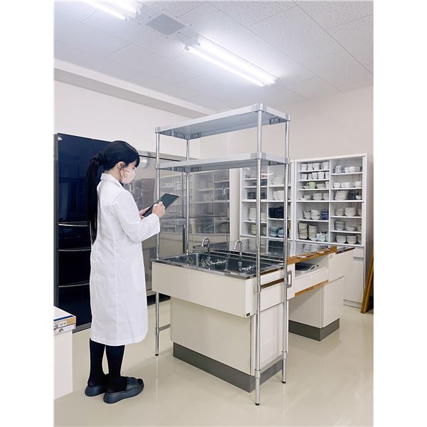 (2本セット) 支柱補強パイプ 35cm専用 スチール クロームメッキ 部品 パーツ インテリア家具 インテリア雑貨 プロフェイス |b04の通販は