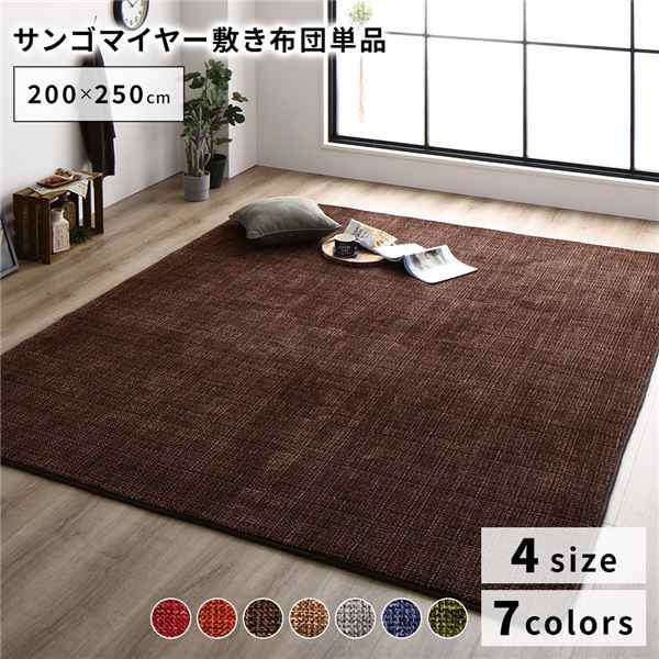 こたつ敷き布団/ラグマット (約200×250cm ブラウン) 防滑加工 ホットカーペット対応 マイクロファイバー サンゴマイヤー リビング |b04