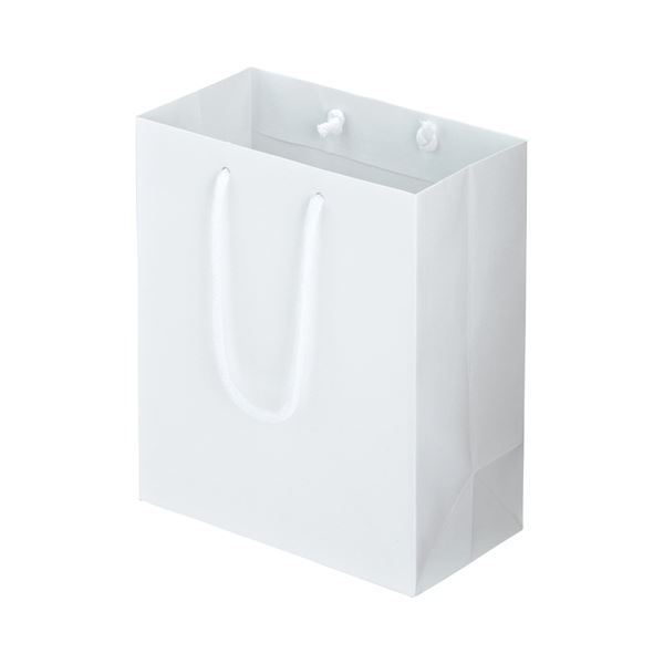 （まとめ） TANOSEE マットコート手提げ袋 S ヨコ220×タテ260×マチ幅120mm ホワイト 1パック（10枚） (×4セット) |b04の通販は 5,571円