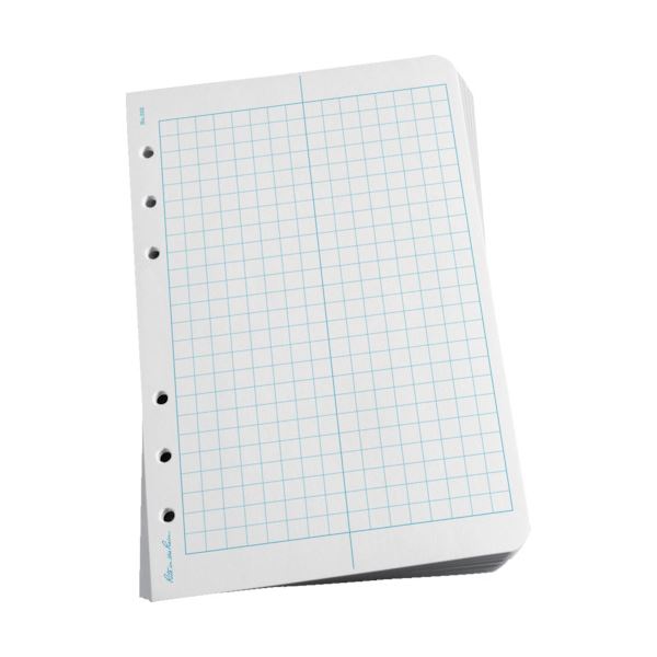 （まとめ） ライトインザレイン ルーズリーフフィールド 352 1パック（100枚） (×2セット) |b04 9,419円