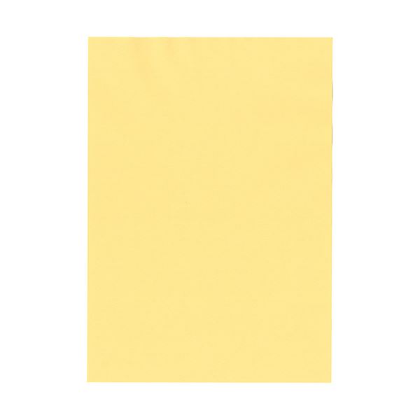 北越コーポレーション 紀州の色上質A3Y目 薄口 クリーム 1箱(2000枚:500枚×4冊) |b04の通販は