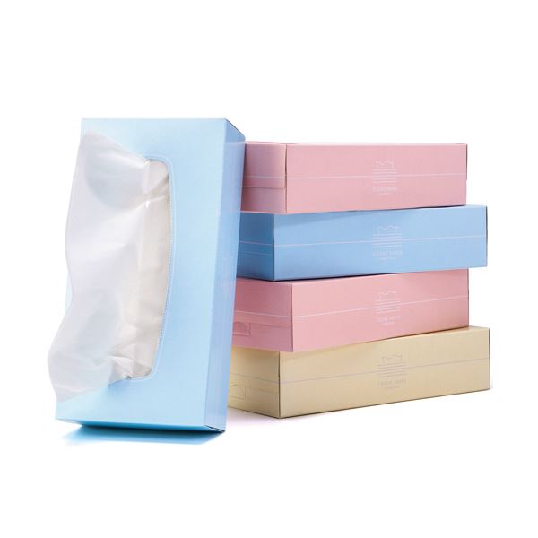 スバル紙販売 ティッシュペーパーPastel 150組/箱 1セット（60箱：5箱×12パック） |b04の通販は