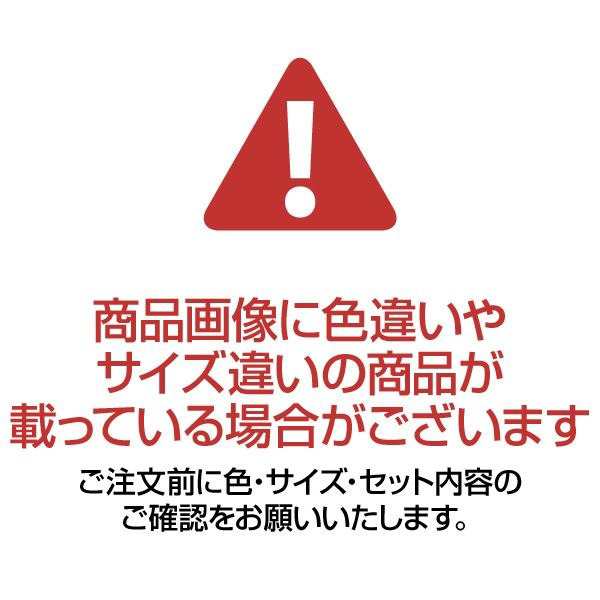 まとめ) リヒトラブ ルーパーファイル(色透明表紙) A4タテ 2穴 100枚