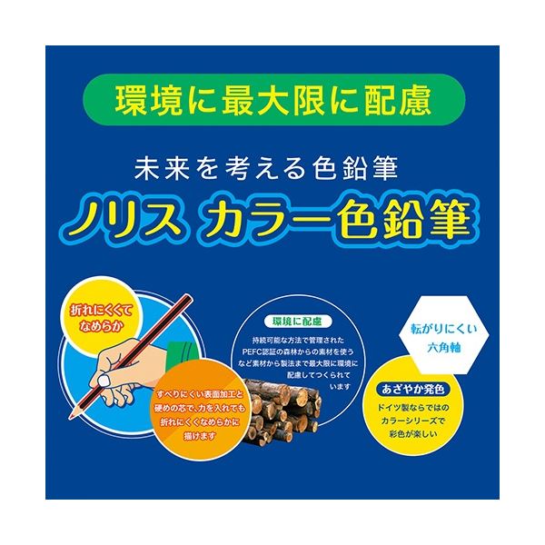(まとめ) ステッドラー ノリスカラー色鉛筆 紙ケース入 12色(各色1本) 185 C12PB 1パック (×20セット) |b04の通販は