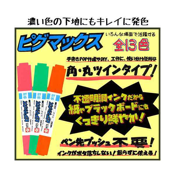 サクラクレパス 水性マーカー ピグマックスツイン 12色(各色1本) ZPK