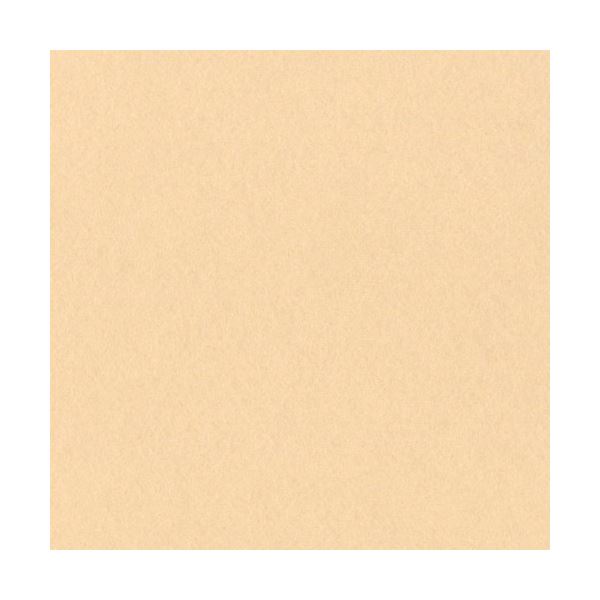 （まとめ）リンテック ニューカラーR 四つ切 しらちゃ 4NCR-111 1パック(100枚)(×5セット) |b04の通販は