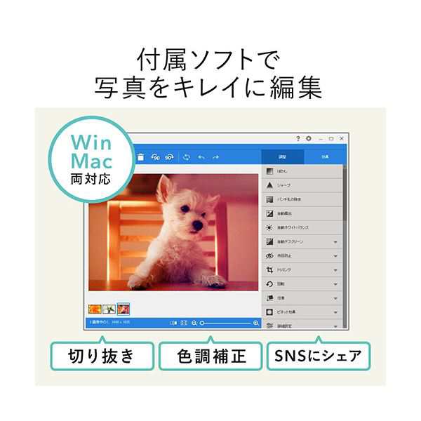 サンワダイレクト フォトスキャナー A4600dpi Windows/Mac対応 自動 高速 CCDセンサー 写真データ化 400-SCN039 1台 |b04