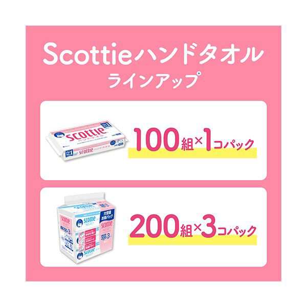 日本製紙クレシアスコッティ ハンドタオル100 100組／パック 1セット（60パック） |b04