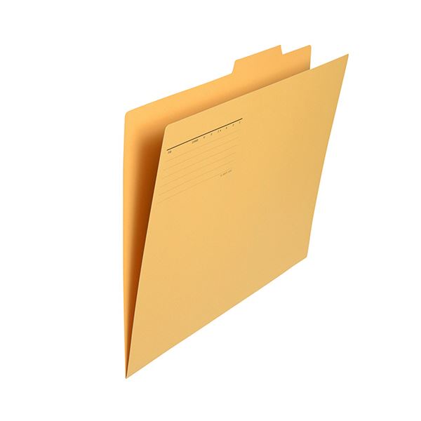 （まとめ） プラス個別フォルダー A3 イエロー FL-069IF 1セット（10冊） (×3セット) |b04の通販は 5,699円