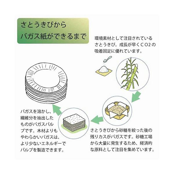 シモジマHEIKO 紙皿 バガスペーパーウェア 徳用 プレート GP-15 #0044660801セット（1200枚：50枚×24パック） シモジマHEIKO 紙皿 バガスペーパーウェア 徳用 プレート GP-18