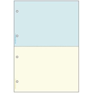 ヒサゴ プリンター帳票 BP2011WZ A4 2色／2面2400枚 |b04