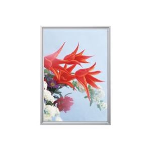 (業務用3セット)アルテ エコイレパネ/掲出パネル ST-B4-SV B4 |b04