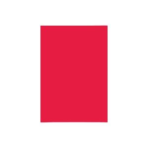 (業務用10セット)大王製紙 再生色画用紙/工作用紙 (四つ切り 10枚) いちご(あか) |b04の通販は 5,381円