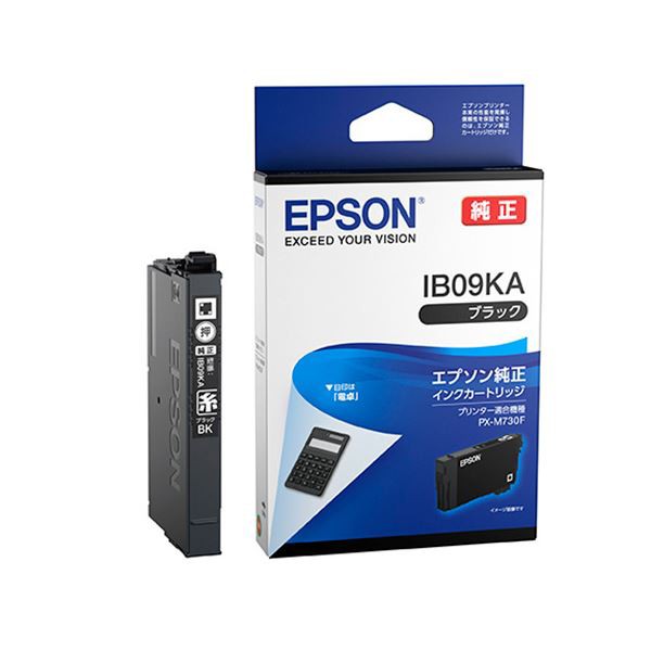 (まとめ) エプソン(EPSON) (純正) インクカートリッジ ブラック IB09KA (×10セット) |b04