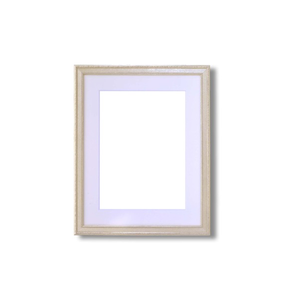 〔 軽量水彩額 〕 柄入り 水彩額 マット付 F4 シルバー 金水彩額 銀水彩額 UV 紫外線 カットアクリル 額 額縁 フレーム【メーカー直送】代引き・銀行振込前払い不可・同梱不可 6,371円