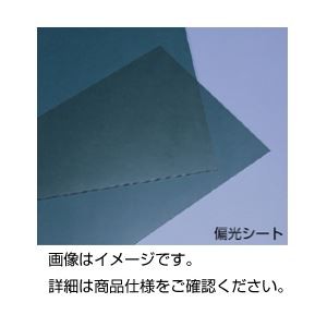 偏光シート 30×43cm |b04の通販は