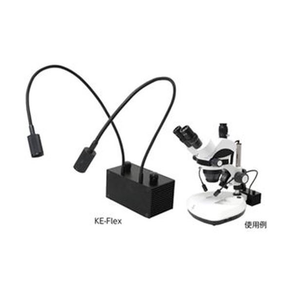 フレキシブルLED照明装置 STA-B2 |b04の通販は