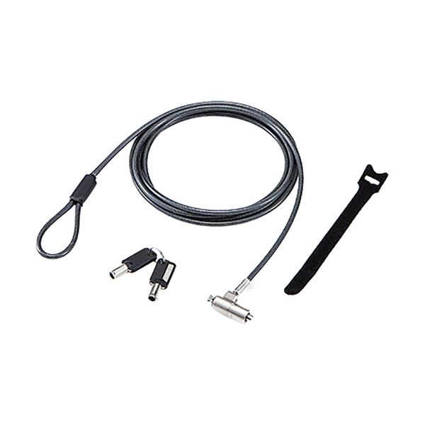 (まとめ）エレコム セキュリティワイヤーロックスタンダード シリンダー錠/NanoSaver(2.5×6)互換 ESL-702 1個(×3セット) |b04の通販は