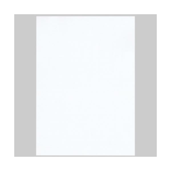 (まとめ) 北越コーポレーション 紀州の色上質A4T目 薄口 銀鼠 1冊(500枚) 〔×5セット〕 まとめ) 北越コーポレーション 紀州の色上質A4T目 薄口 白 1冊(500枚) (×