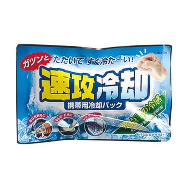 （まとめ）紀陽除虫菊 携帯用冷却パック 速攻冷却K-2001 1セット（10個）(×10セット) |b04