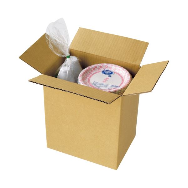 （まとめ）TANOSEE 宅配用ダンボール箱 60-A4 1セット（60枚：20枚×3パック） 〔×3セット〕 まとめ）TANOSEE 宅配用ダンボール箱 60-A4 1セット（60枚：20枚×3