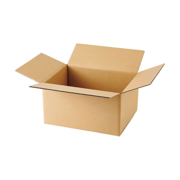 （まとめ）TANOSEE 無地ダンボール箱 B4ワイド判対応サイズ 高さ220mm 1セット（20枚：10枚×2パック） (×3セット) |b04の通販は