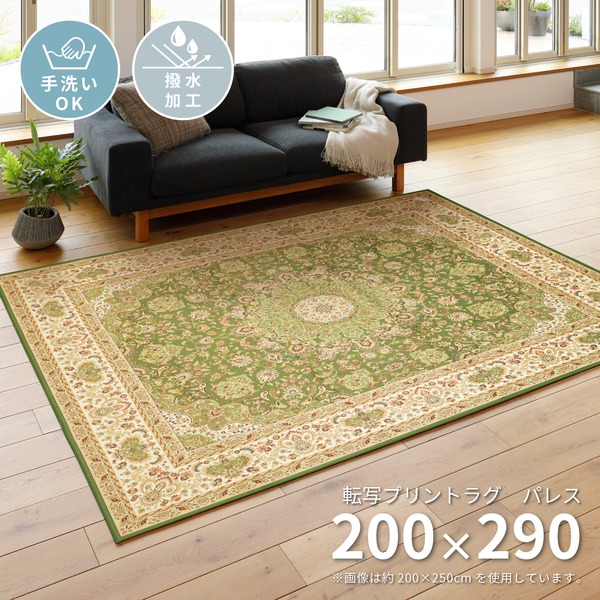 モダン ラグマット/絨毯 〔約200×290cm ブーケグリーン〕 長方形 抗菌 消臭 防臭 〔リビング ダイニング〕 ラグマット 絨毯 約200×250cm モダングリーン 洗える お手入れラクラク