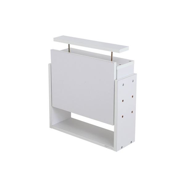 コレクションケース/収納棚 レギュラー 専用上置き (ロータイプ 奥行19cm用 ホワイト) 幅54.1cm 本体別売 (組立品) |b04