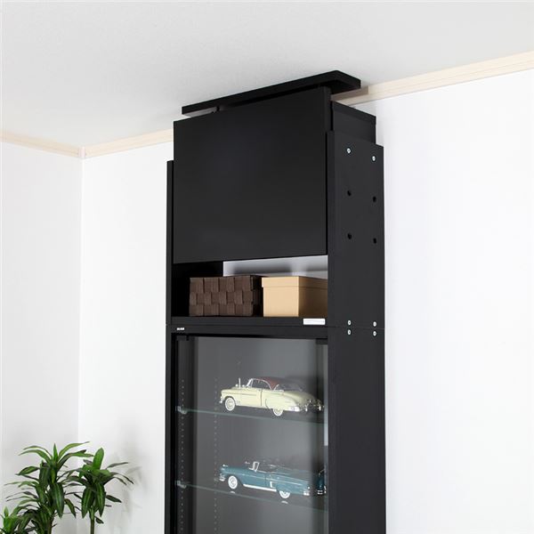 コレクションケース/収納棚 レギュラー 専用上置き 〔ハイタイプ 奥行19cm用 ブラック〕 幅54.1cm 本体別売 〔組立品〕〔代引不可〕(代引不可) コレクションケース ⁄ 収納棚 レギュラー 専用上置き ハイタイプ