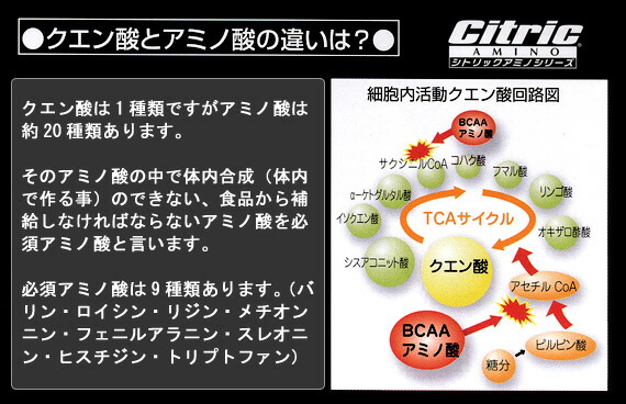 シトリック アミノ サプリ [ エブリデイコンディション （ニュータイプ