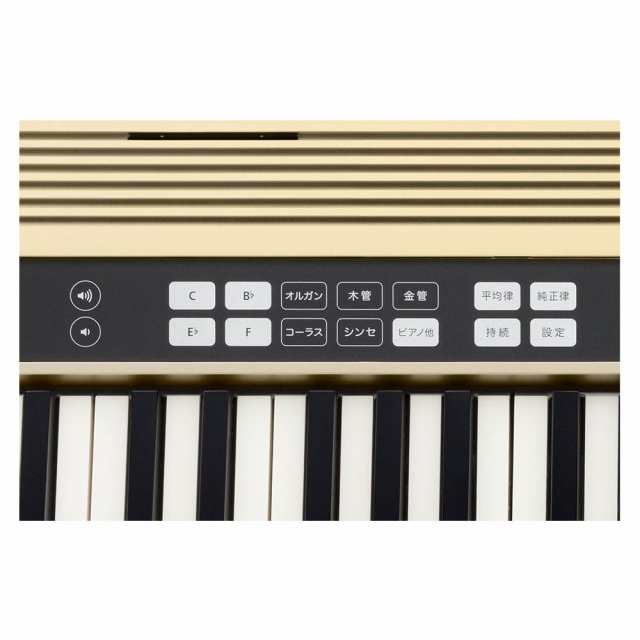 Roland/JUSTY HK-100 [ハーモニー&リズム練習用キーボード]【ローランド】の通販はau PAY マーケット - 楽器de元気 |  au PAY マーケット－通販サイト