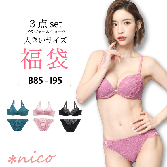 送料無料 福袋 ブラセット ブラジャーショーツ セット 3点 大きいサイズ X 003 メール便不可 レディース 下着福袋 22 送料無料の通販はau Pay マーケット Nico インナーショップ