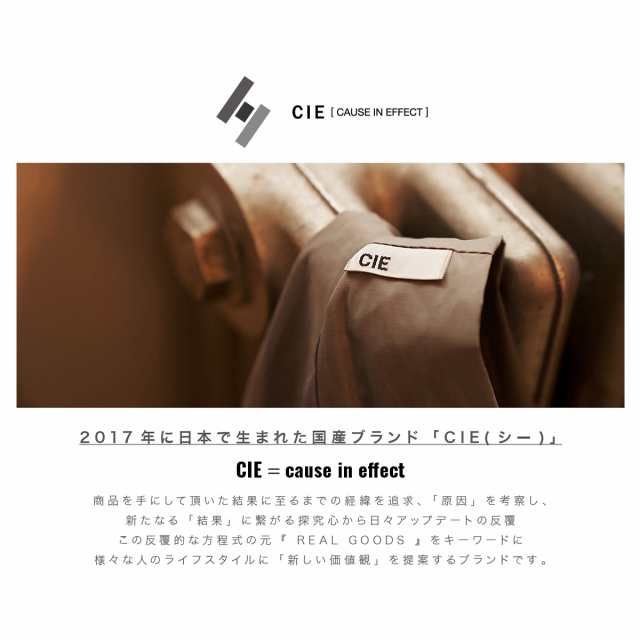 レビュー投稿で+5％還元】CIE リュック VARIOUS 2WAYBACKPACK S メンズ