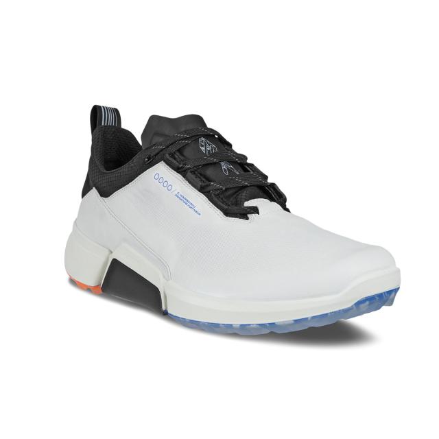 レビュー投稿で+5％還元】エコー ゴルフ シューズ 男性用 メンズゴルフ