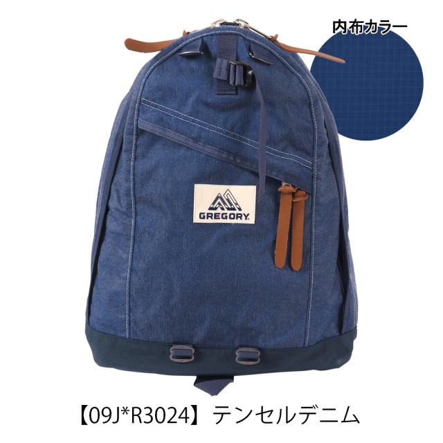 レビュー投稿で+5％還元】グレゴリー リュック 26L メンズ
