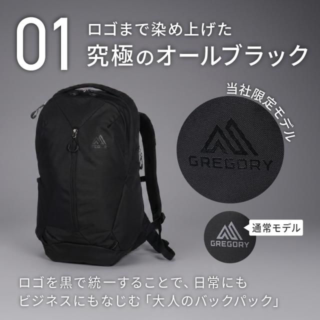 別注 グレゴリー リュック ルーヌ20 当社限定 A4 20L 15インチ RHUNE20 DRC GREGORY デイパック リュックサック 軽量 撥水 ロビックエアー カジュアル ビジネス 通勤 通学 パソコン PC収納 オールブラック 男女兼用_2