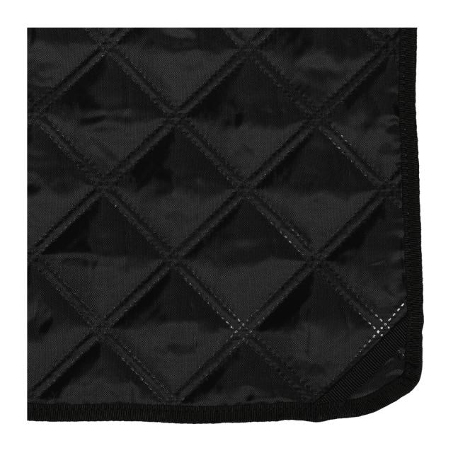 コールマン）Coleman キャンパーインフレーターS3 キャンピング