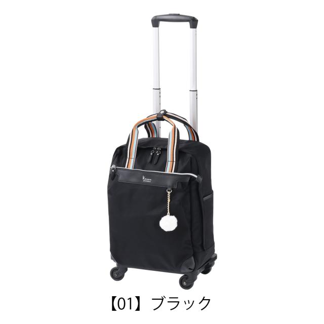 【レビュー投稿で+5％還元】カナナプロジェクト ショッピングキャリー 39cm 22L 1.8kg レディース アムローズTR 15246 Kanana project | ソフトキャリー お出かけ 軽量