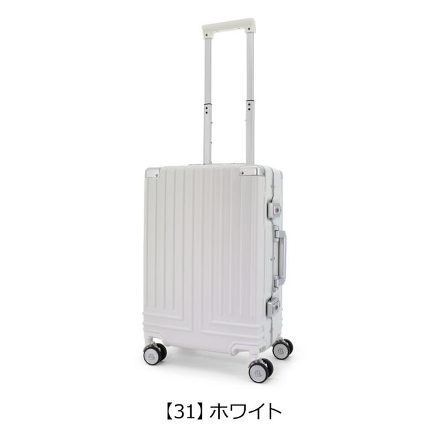 【レビュー投稿で+5％還元】ランバンオンブルー スーツケース 機内持ち込み 32L 49cm 3.4kg 当社限定色グレー ヴィラージュ 595313 LANVIN en Bleu｜汚れ防止カバー付き フレーム キャリーケース キャリーバッグ ビジネスキャリー 軽量 静音 旅行 クリスマス_mp