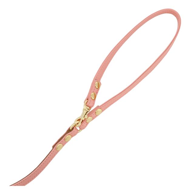 レビュー投稿で+5％還元】リュクスバーディ リード 犬用 ファッション