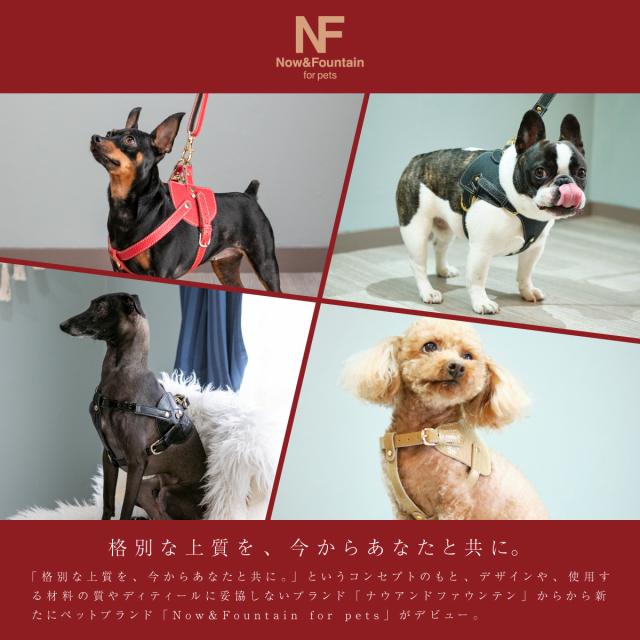 【レビュー投稿で+5％還元】エヌアンドエフ ペット ハーネス＆リードセット 小型犬 ハーネス ボディベルト リード おしゃれ レザー 本革 日本製 N＆F for pets TYPE-C ナチュラル ｜ 犬用 ペット ファッション エレガント ラグジュアリー 胴輪_1