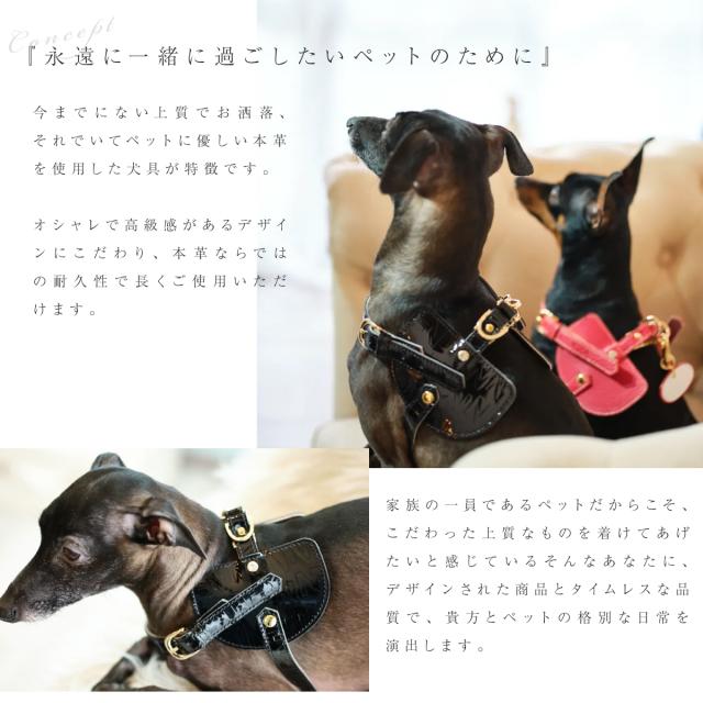 【レビュー投稿で+5％還元】エヌアンドエフ ペット ハーネス＆リードセット 小型犬 ハーネス ボディベルト リード おしゃれ レザー 本革 日本製 N＆F for pets TYPE-C ナチュラル ｜ 犬用 ペット ファッション エレガント ラグジュアリー 胴輪_2