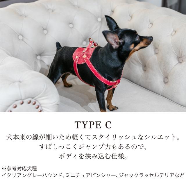 【レビュー投稿で+5％還元】エヌアンドエフ ペット ハーネス＆リードセット 小型犬 ハーネス ボディベルト リード おしゃれ レザー 本革 日本製 N＆F for pets TYPE-C ナチュラル ｜ 犬用 ペット ファッション エレガント ラグジュアリー 胴輪_5