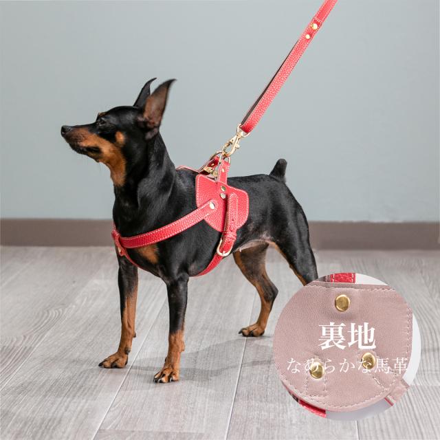 【レビュー投稿で+5％還元】エヌアンドエフ ペット ハーネス＆リードセット 小型犬 ハーネス ボディベルト リード おしゃれ レザー 本革 日本製 N＆F for pets TYPE-C ナチュラル ｜ 犬用 ペット ファッション エレガント ラグジュアリー 胴輪_7