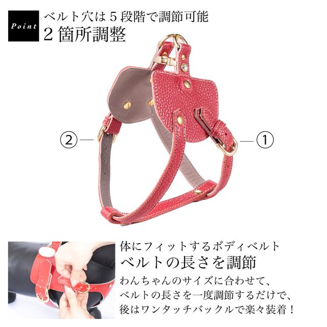 【レビュー投稿で+5％還元】エヌアンドエフ ペット ハーネス＆リードセット 小型犬 ハーネス ボディベルト リード おしゃれ レザー 本革 日本製 N＆F for pets TYPE-C ナチュラル ｜ 犬用 ペット ファッション エレガント ラグジュアリー 胴輪_8
